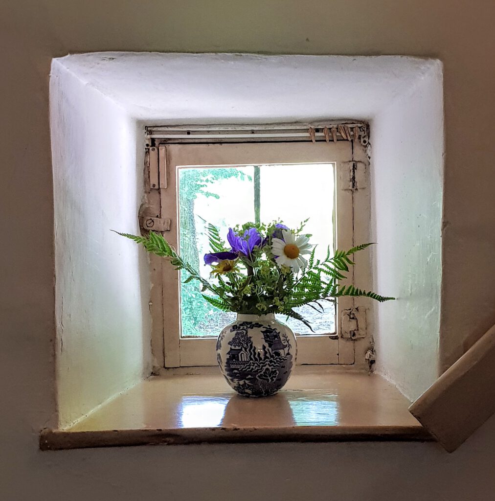 Flowers on windowsill